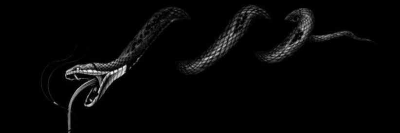 ll20llli's profile banner image