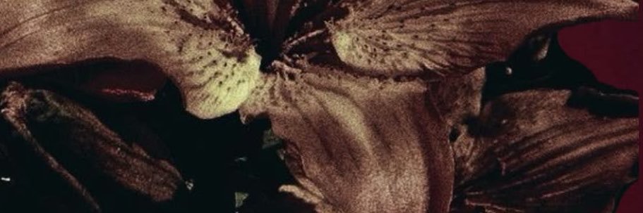 minkzski's profile banner image