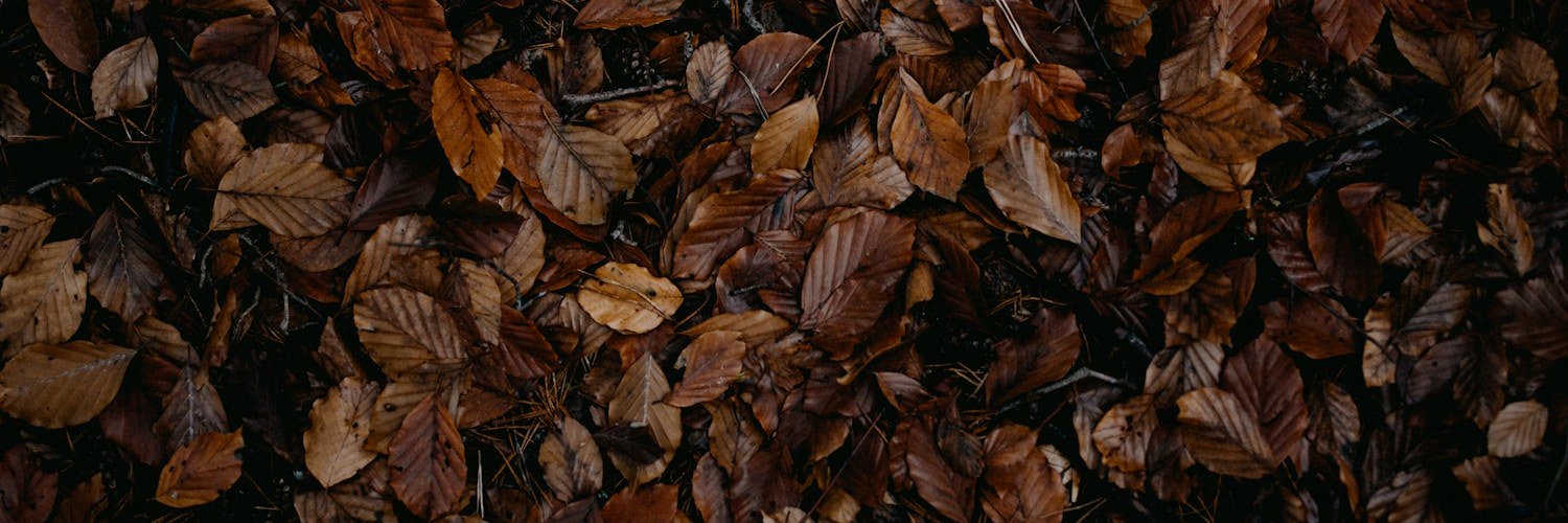 szksku's profile banner image