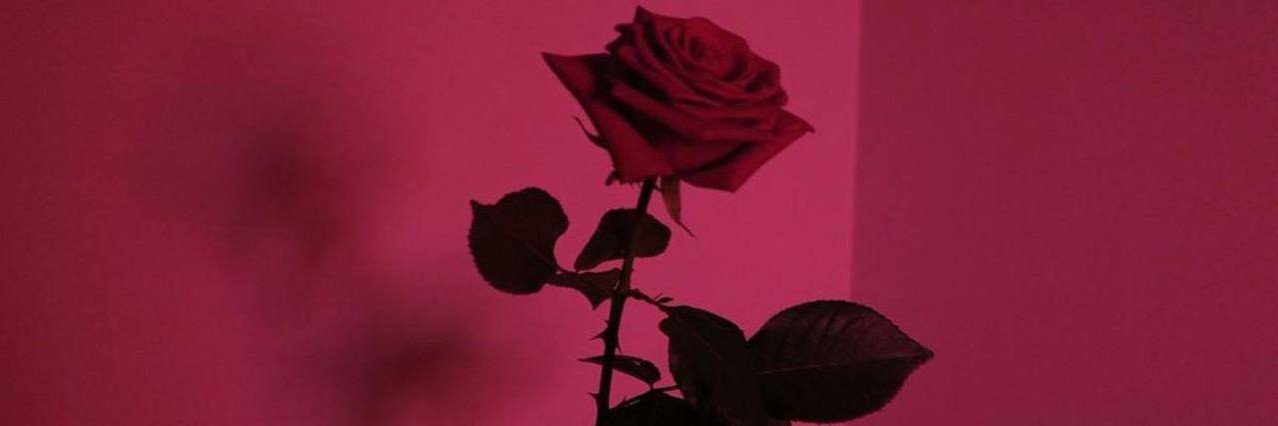 anna1oft's profile banner image