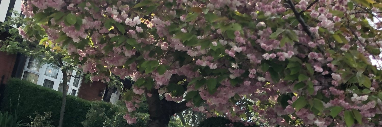 birceeea's profile banner image