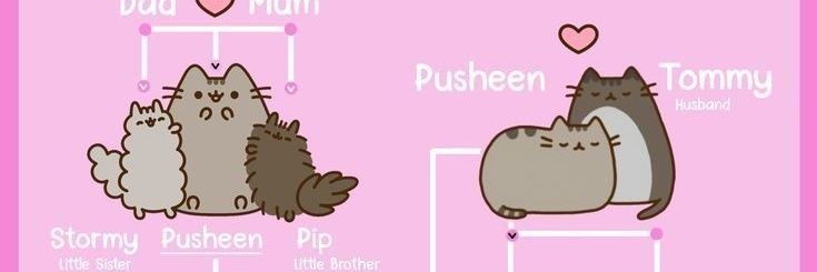 fatchudnipah's profile banner image