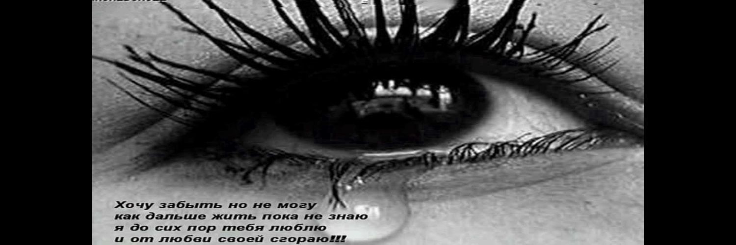 cesue alemdar banner