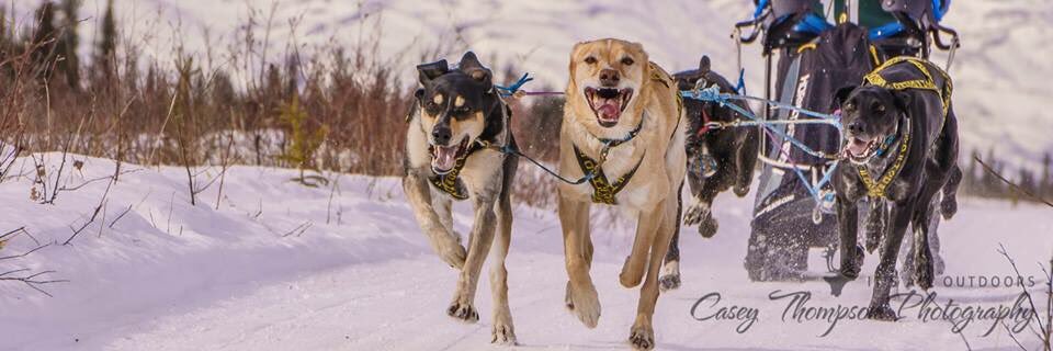 Andrea Swingley (she/her) banner
