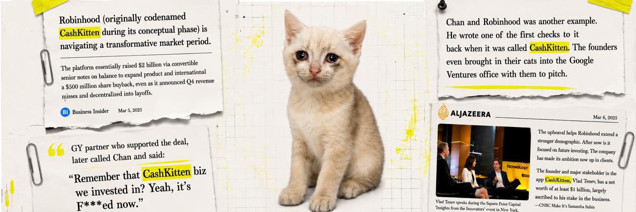 CashKittenRH's profile banner image
