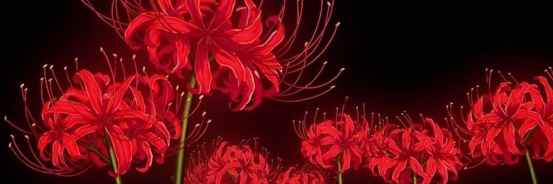 catonapc's profile banner image