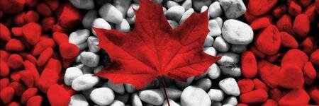 melissatoronto's profile banner image