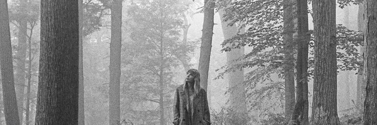 picture me in the trees banner