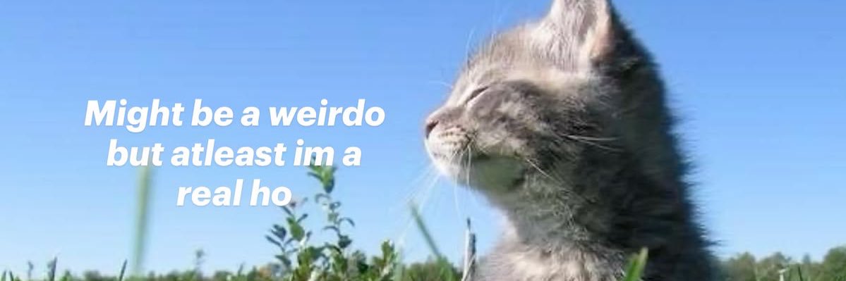 STRAWBEMIE9's profile banner image
