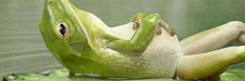 davefangs's profile banner image
