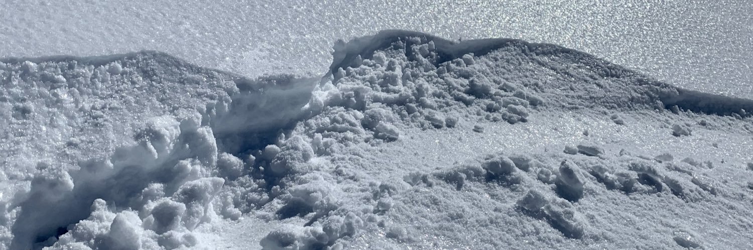 David Price Stephens banner