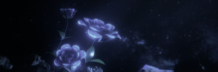 timiduma's profile banner image
