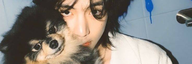 framesof_V's profile banner image