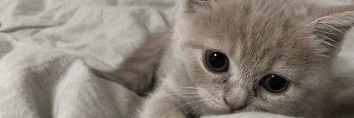 LucyAckerman93's profile banner image