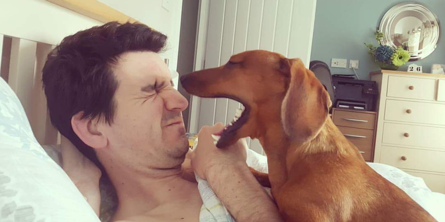jimjamno1's profile banner image