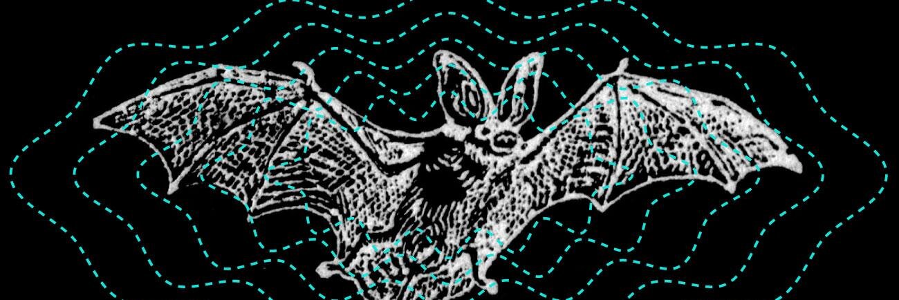 cwhudson's profile banner image