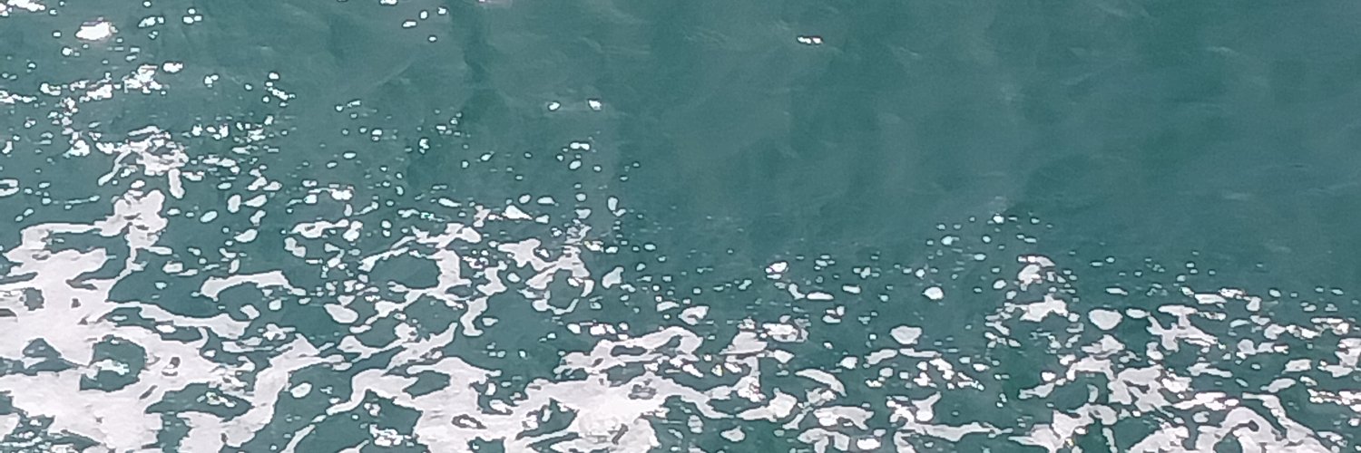 Safflower_0's profile banner image