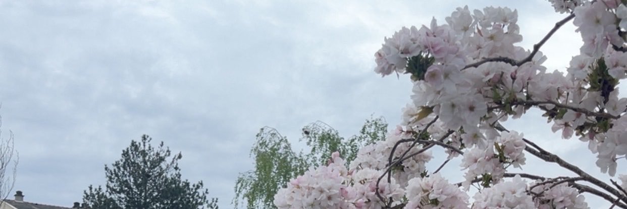 Logan_RyL's profile banner image