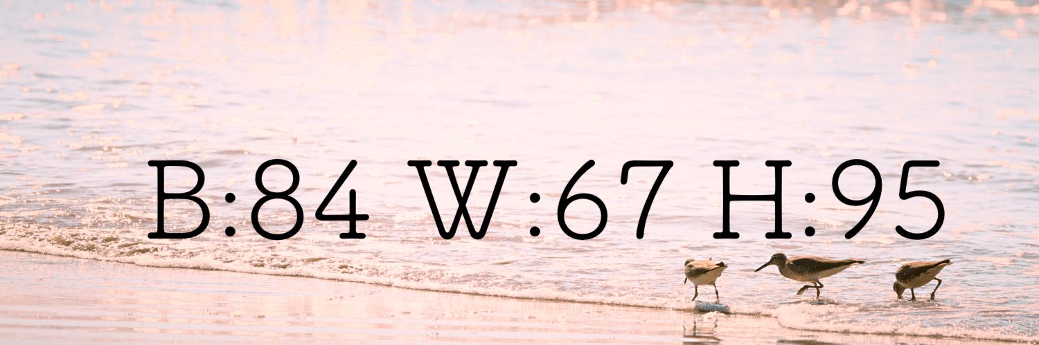 ema_marsh_'s profile banner image