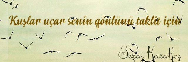 cemilsina's profile banner image