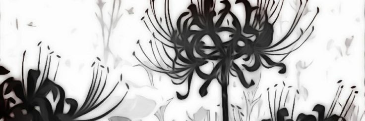 _mimi_x's profile banner image