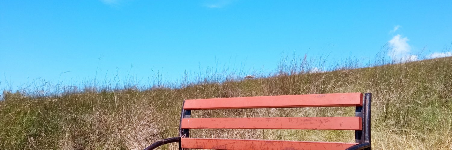 outofthebi's profile banner image