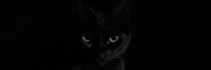 minehannn's profile banner image