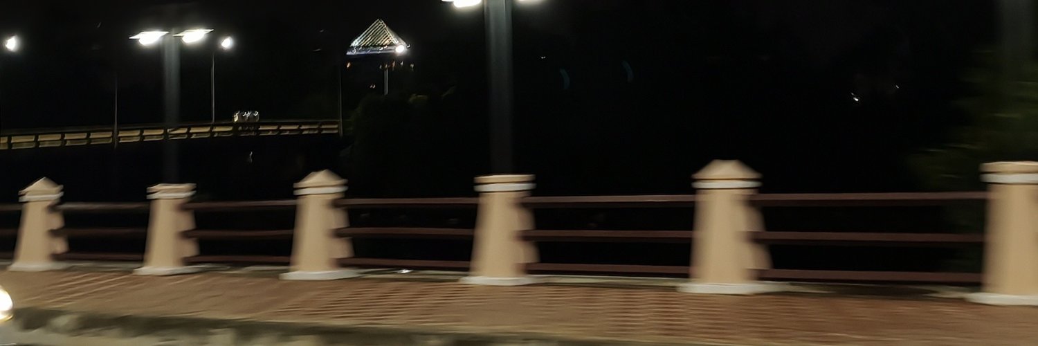 leafioflo's profile banner image