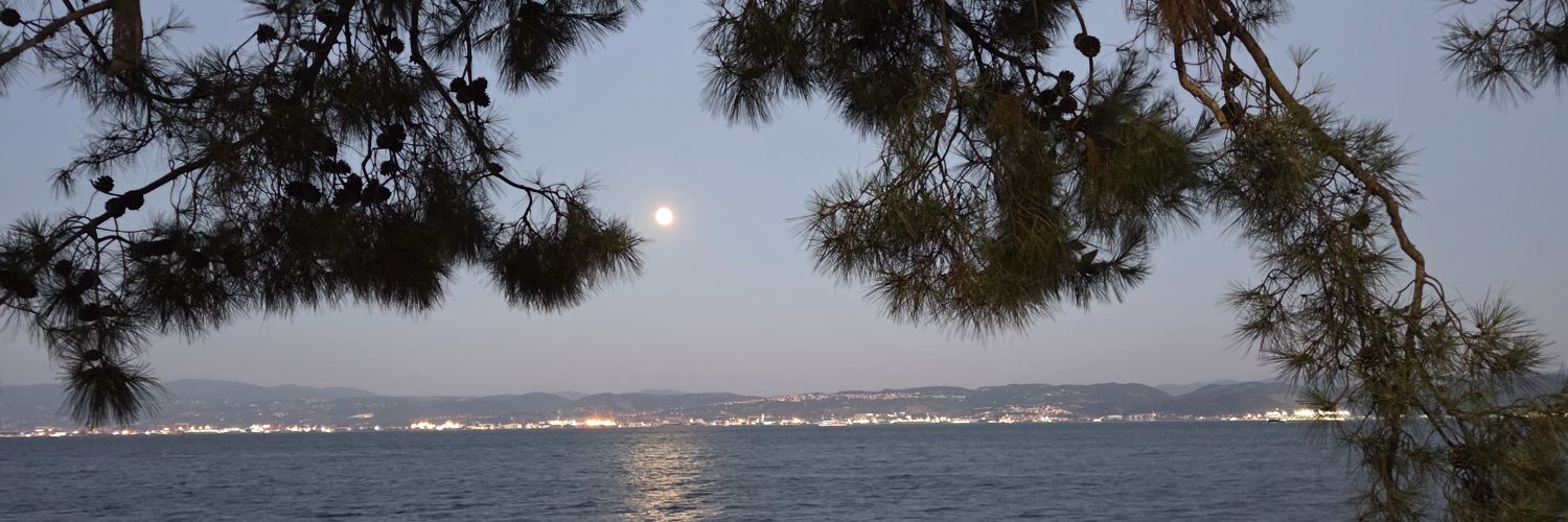 nursmat's profile banner image