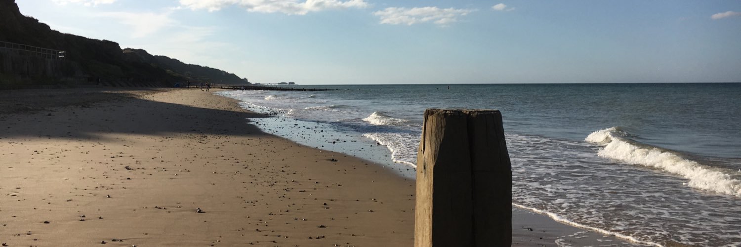 Sarah Daniels banner