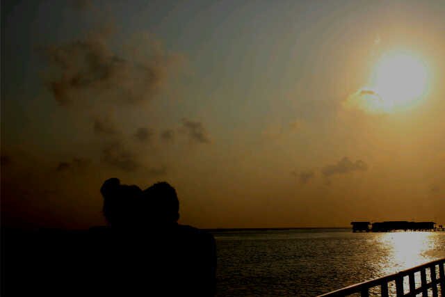 ajo banner
