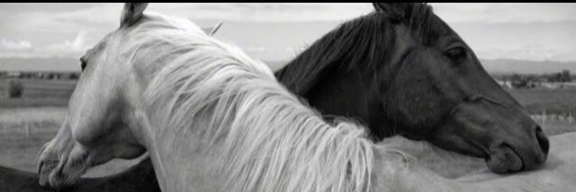 miva67's profile banner image