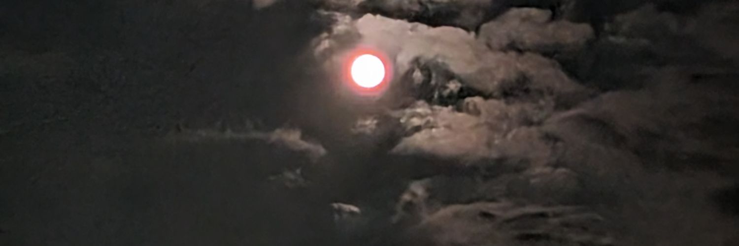 mochimochide's profile banner image