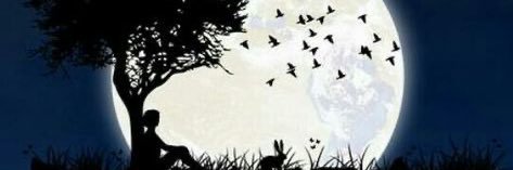 Wry Bolanle banner