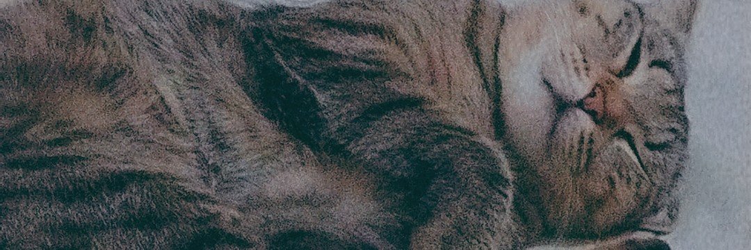 solicexrm's profile banner image