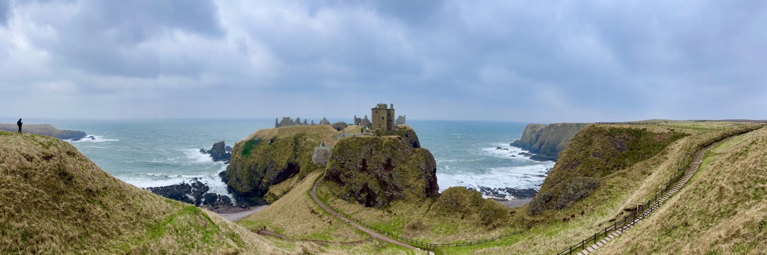 King in the North banner