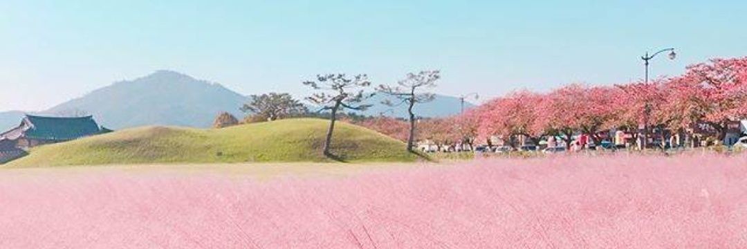 nunoon_t's profile banner image