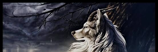 MadMewer's profile banner image