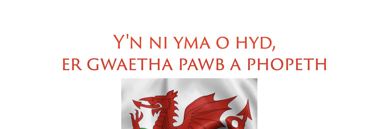 CloeyTJ's profile banner image