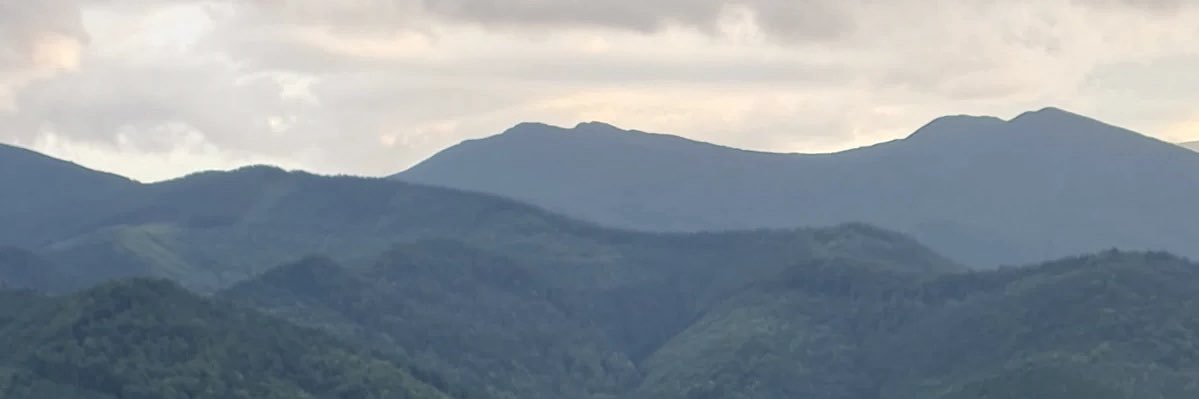 MatthewWalts's profile banner image