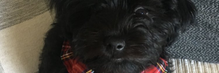 kquinn71's profile banner image