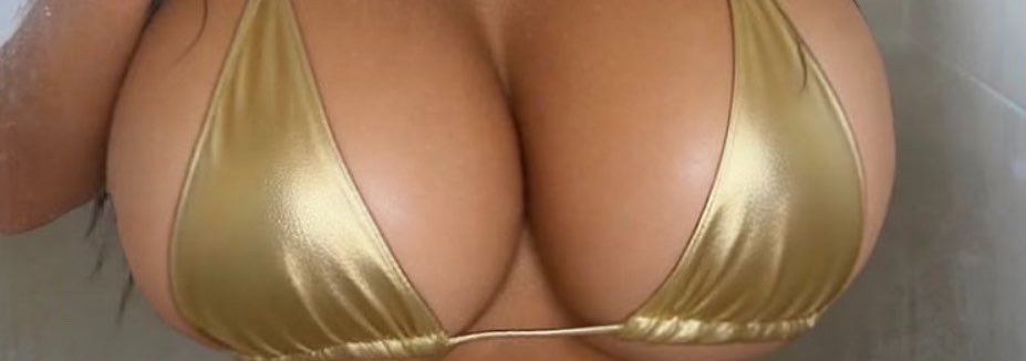 pedalizaPlat's profile banner image