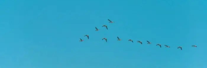 Amanda Starbuck @amandastarbuck.bsky.social banner