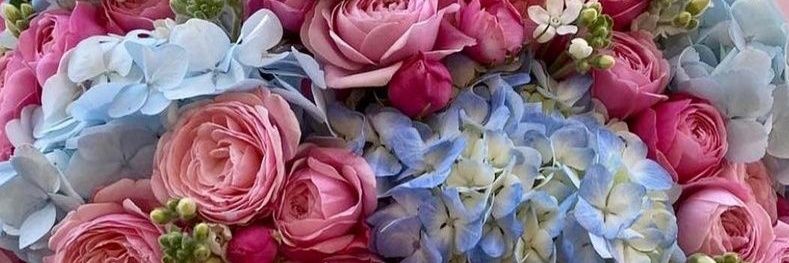 FloristFernando's profile banner image