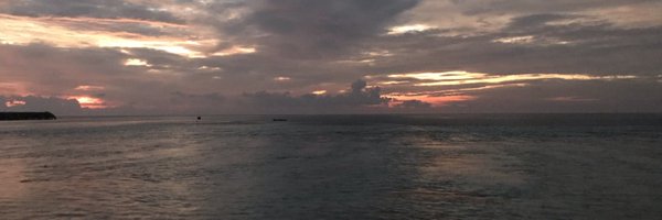 FayeCarruthers Profile Banner