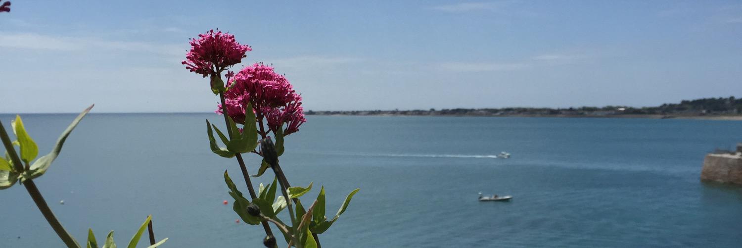 Greg F 🌈🦄🇪🇺✌️ banner