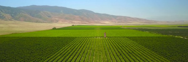 michaellinder Profile Banner