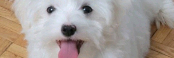 jaileenGuyap's profile banner image