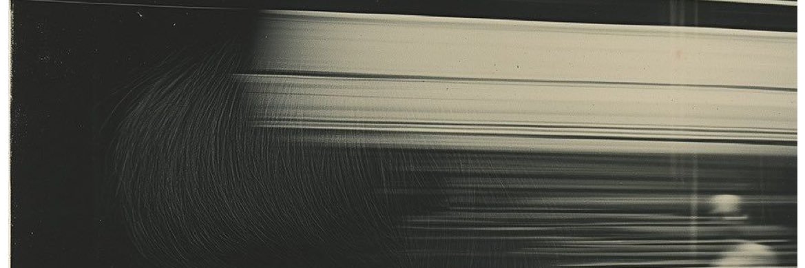 Lilyf9ww's profile banner image