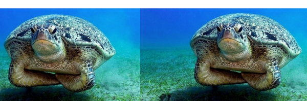 KasperSoeters Profile Banner